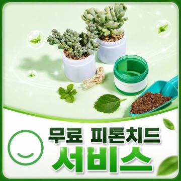 2. 무료 피톤치드 서비스